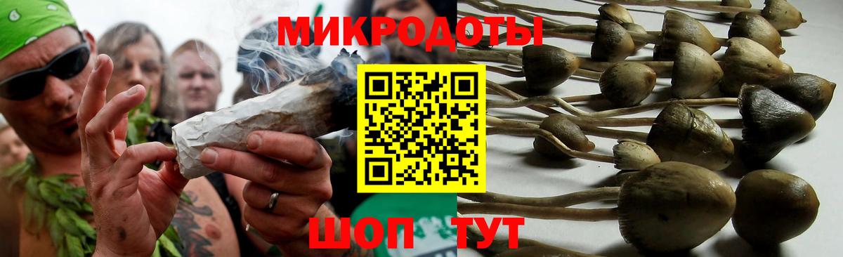 Галлюциногенные грибы GOLDEN TEACHER  Вход с VPN  Ахтубинск 